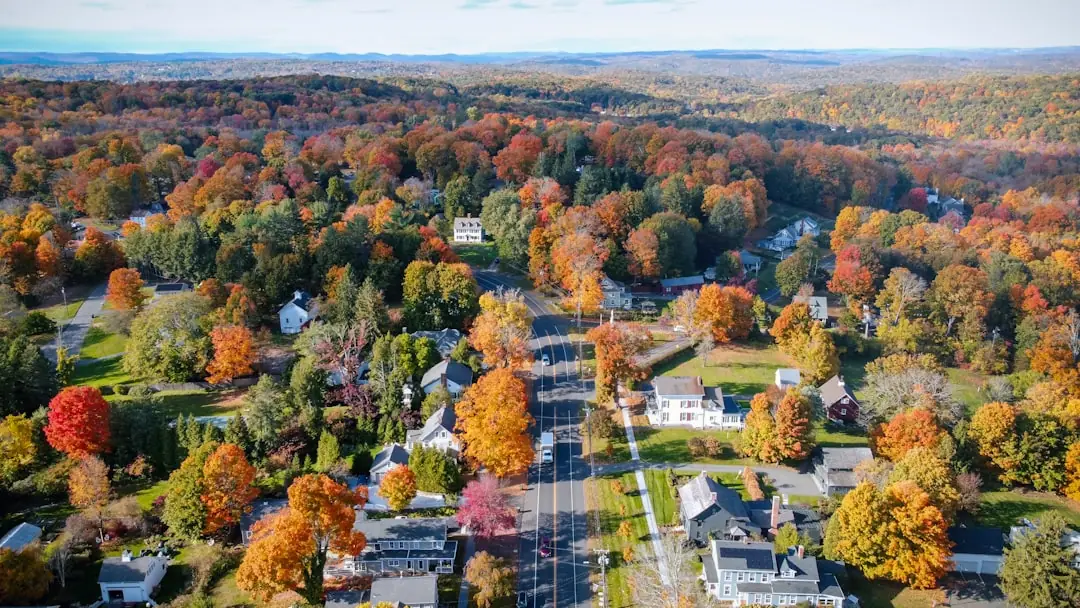 A residential street of clapboard houses under bare autumn trees.